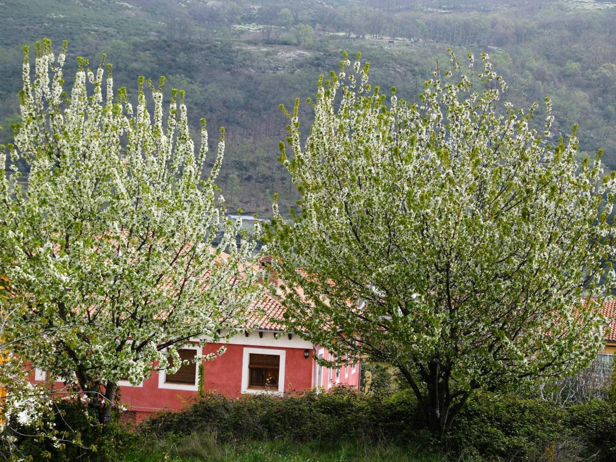 Hotel Rural Carlos I การ์กันตา ลาโอญา ภายนอก รูปภาพ